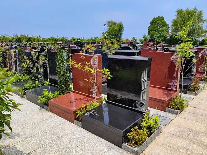 墓型介绍